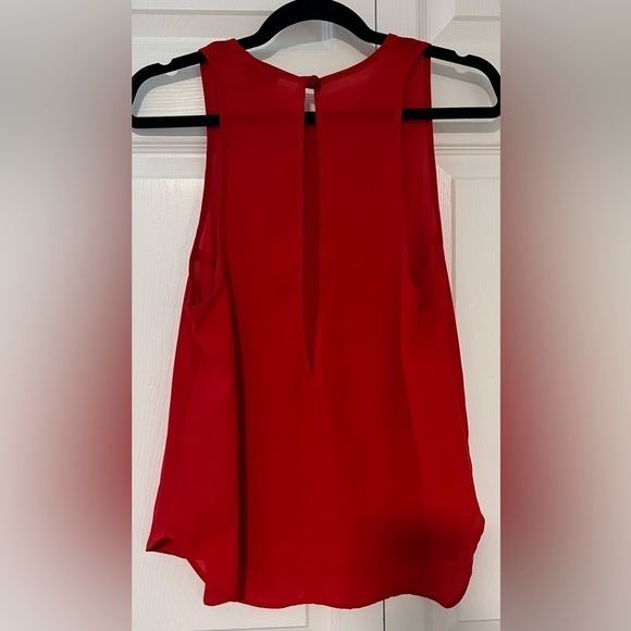 Show Me Your Mumu Sheer Sleeveless Top with Semi Open Back - Picture 3 of 3